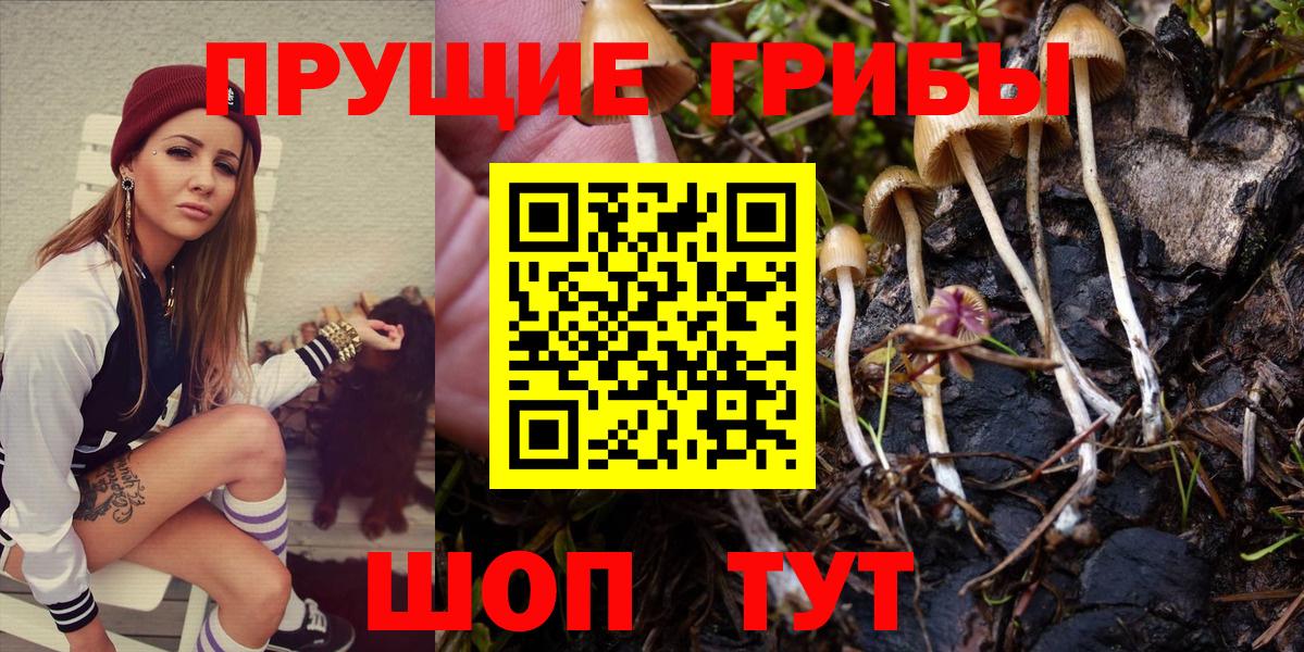 Галлюциногенные грибы Magic Shrooms Можайск