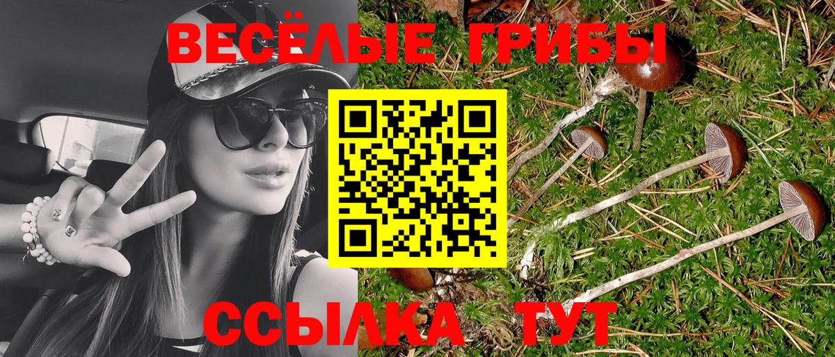 Можайск  Псилоцибиновые грибы Cubensis  Вход с VPN 